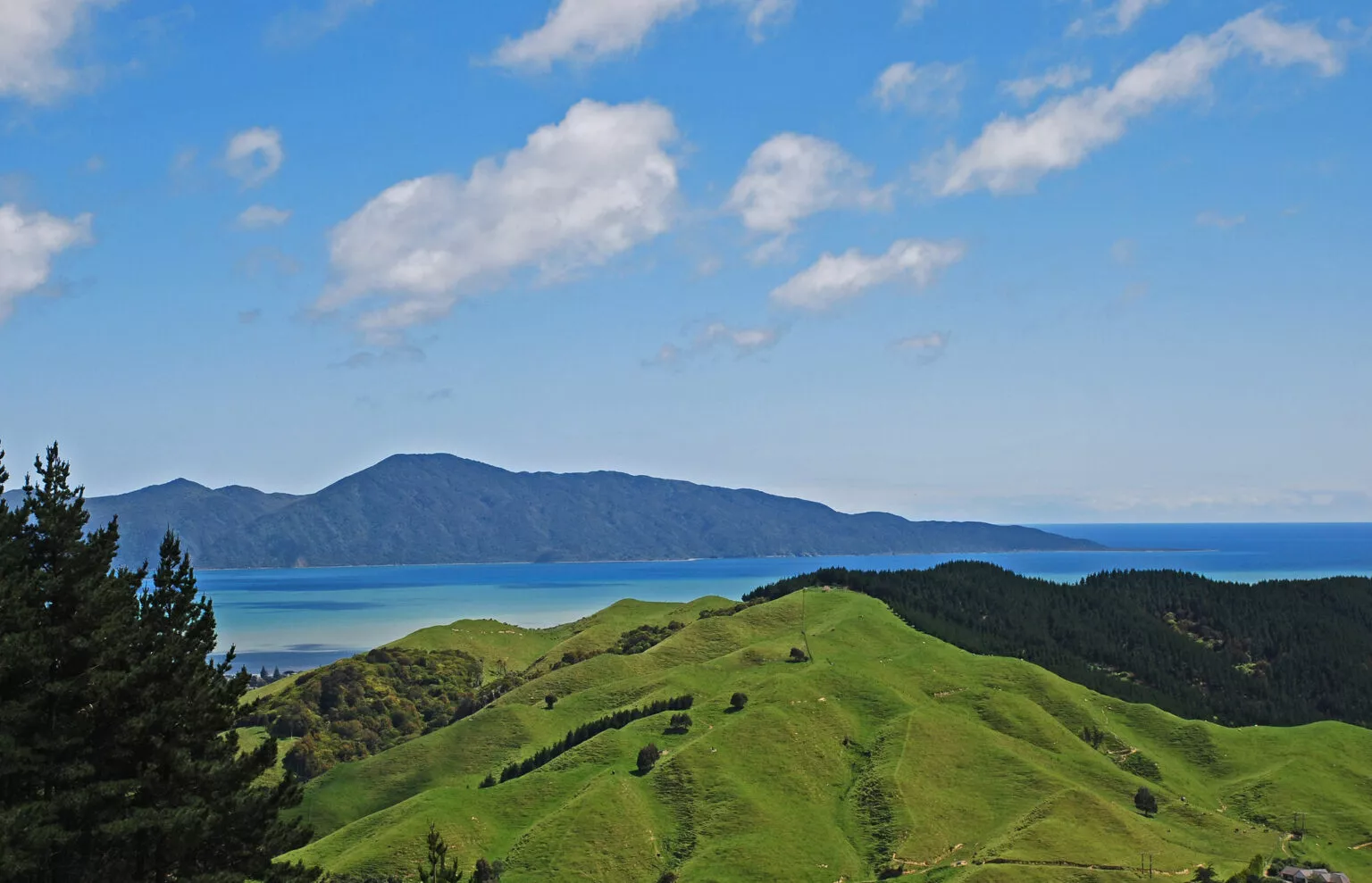 Kapiti
