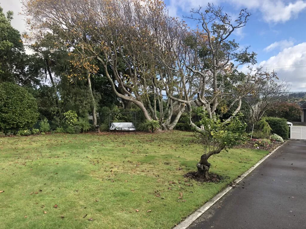 IMG 3752